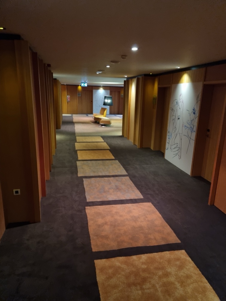 Terme Krka Hotel Balnea Dolenjske toplice